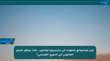 قرار أوباميانغ بالعودة إلى مارسيليا لعامين.. ماذا ينتظر النجم الغابوني في الدوري الفرنسي؟